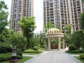 成武新楼盘出售现房