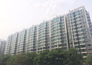 大悦城附近楼盘 大悦城附近楼盘