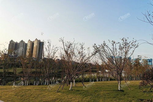 常德柳叶湖保利楼盘 常德柳叶湖保利楼盘