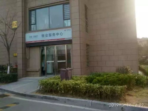 卓越西海岸 物业