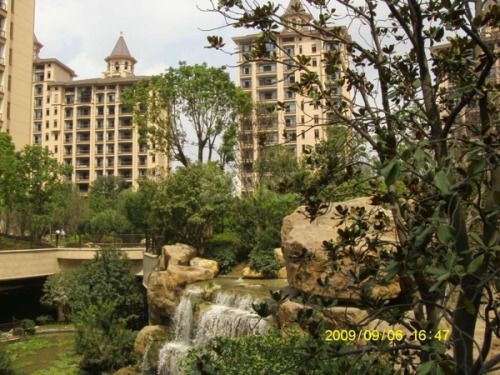 浦东星河湾物业 浦东星河湾物业