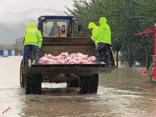 小站营小区 小站营小区