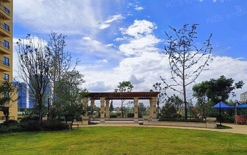 北屯南湖新区的房子