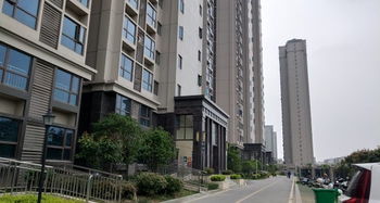 新欧洲小区 新欧洲小区