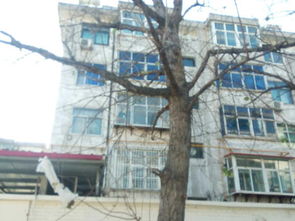 丰润朝阳小区 丰润朝阳小区