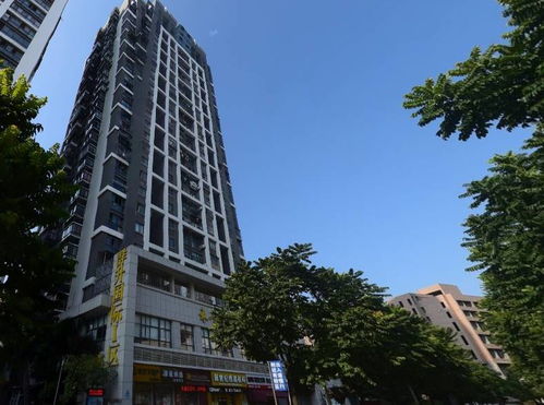 沈阳房子均价2017