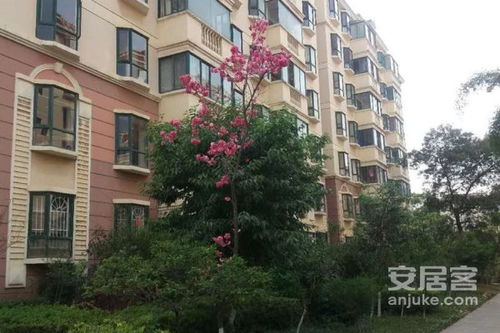 江东花城二手房交易 江东花城二手房交易