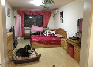 瀛洲里二手房 瀛洲里二手房