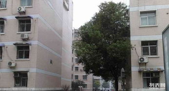 英特小区二手房 英特小区二手房